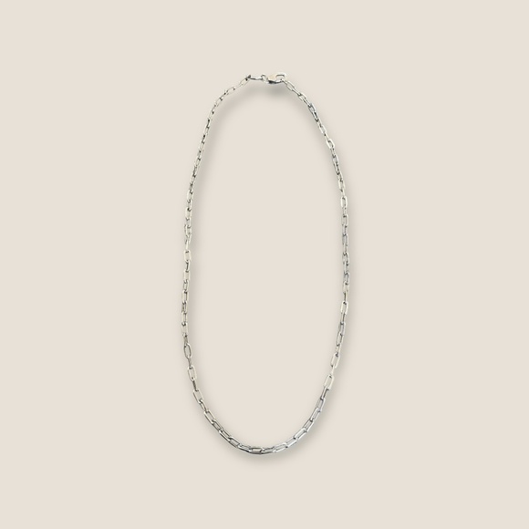 Fossil Stainless Steel Paperclip Chain Necklace - Picture 1 of 4